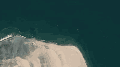 Spot place