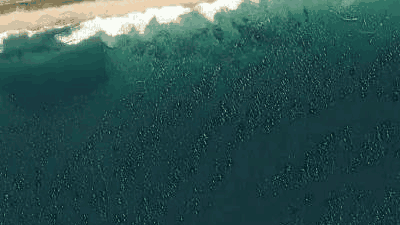 Spot place