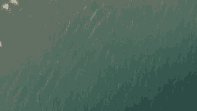 Spot place