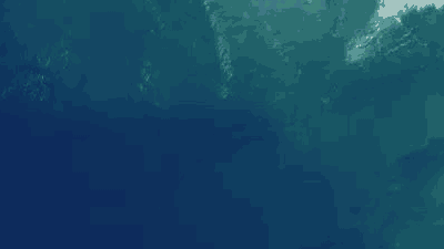Spot place