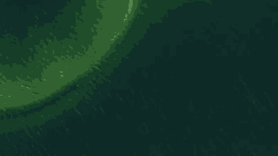 Spot place