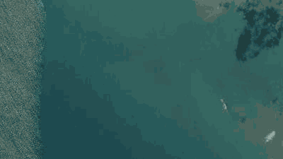 Spot place