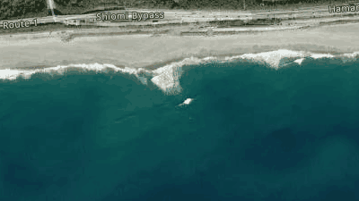 Spot place
