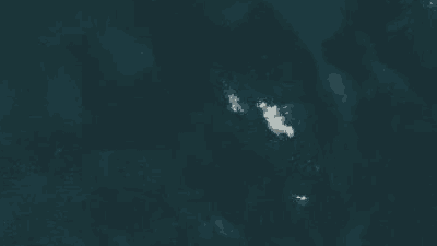 Spot place