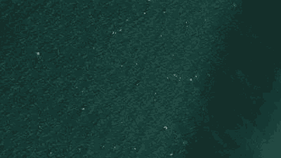 Spot place