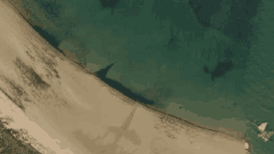 Spot place