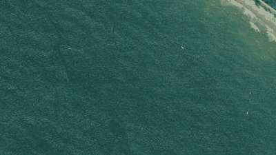 Spot place